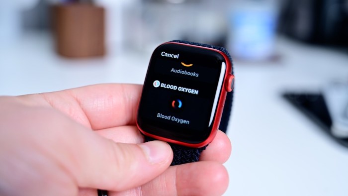 Apple Watch Series