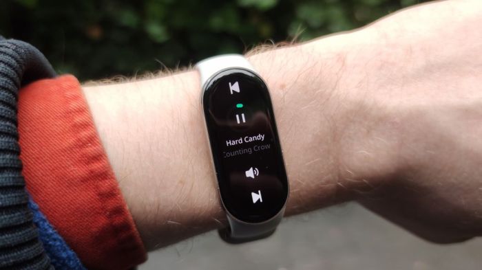Xiaomi Smart Band 9