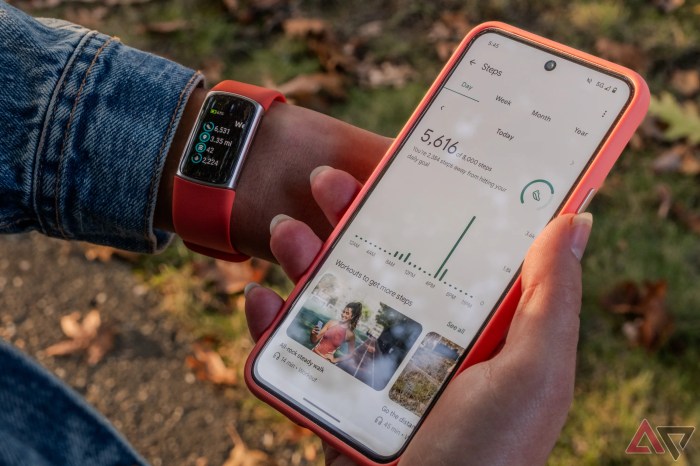 Fitbit Charge 6