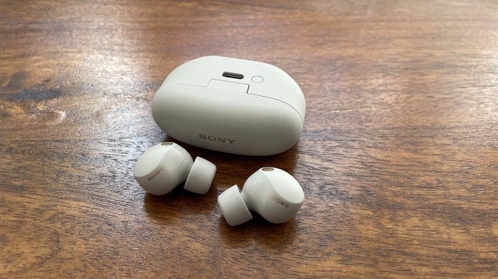 Sony WF-1000XM6 earbuds
